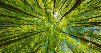 Environment Week