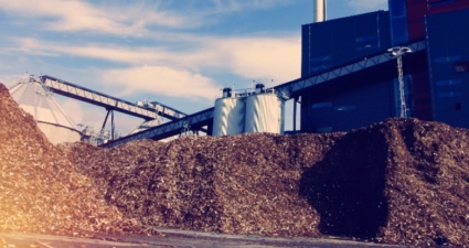 Biomass: an alternative to fossil fuels