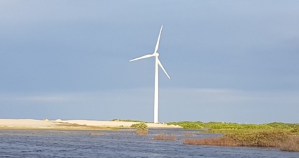 Wind energy: how the force of winds is transformed into electricity