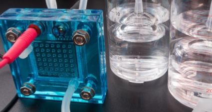 Fuel cell