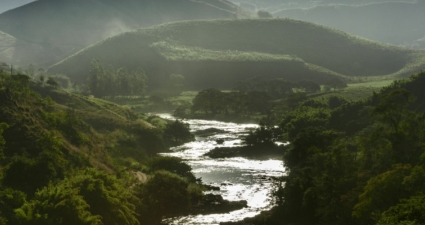 Water in the World