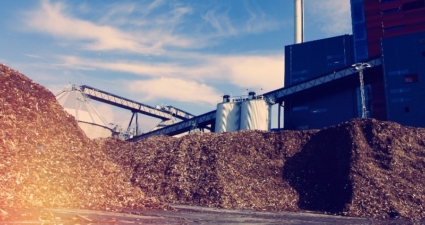 Biomassa: uma alternativa aos combustíveis fósseis