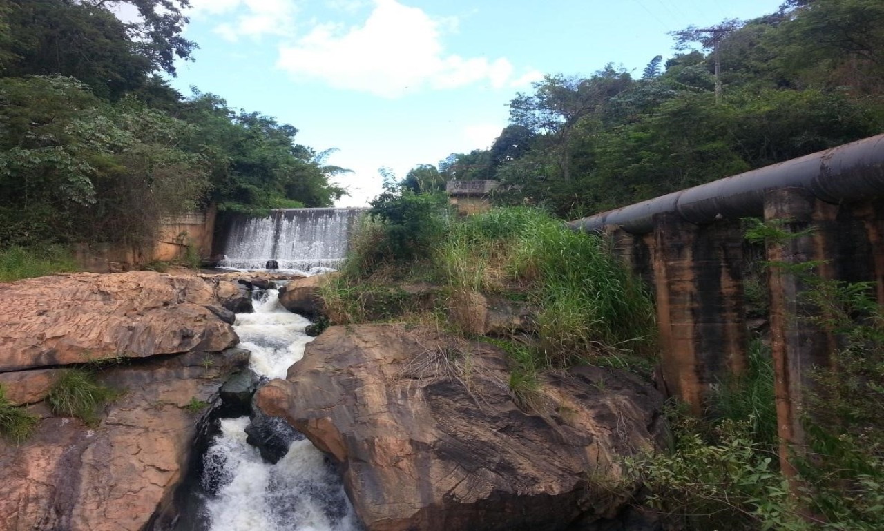 bomjesusdogalho1