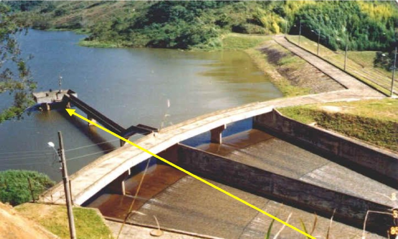 piau1