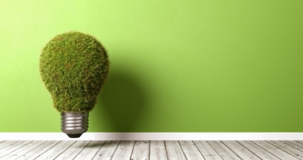 Cemig desenvolve projeto para reduzir interrupções de energia causadas por galhos de árvores