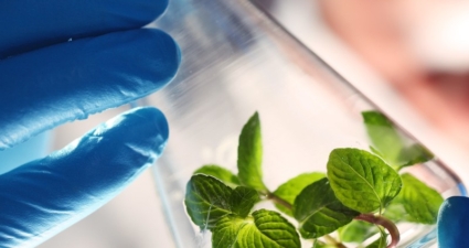 Semana do meio ambiente