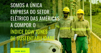 Índice Dow Jones de Sustentabilidade 2020/2021
