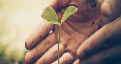 Cemig classificada com dupla pontuação máxima “lista A” por sua gestão global de clima e de água