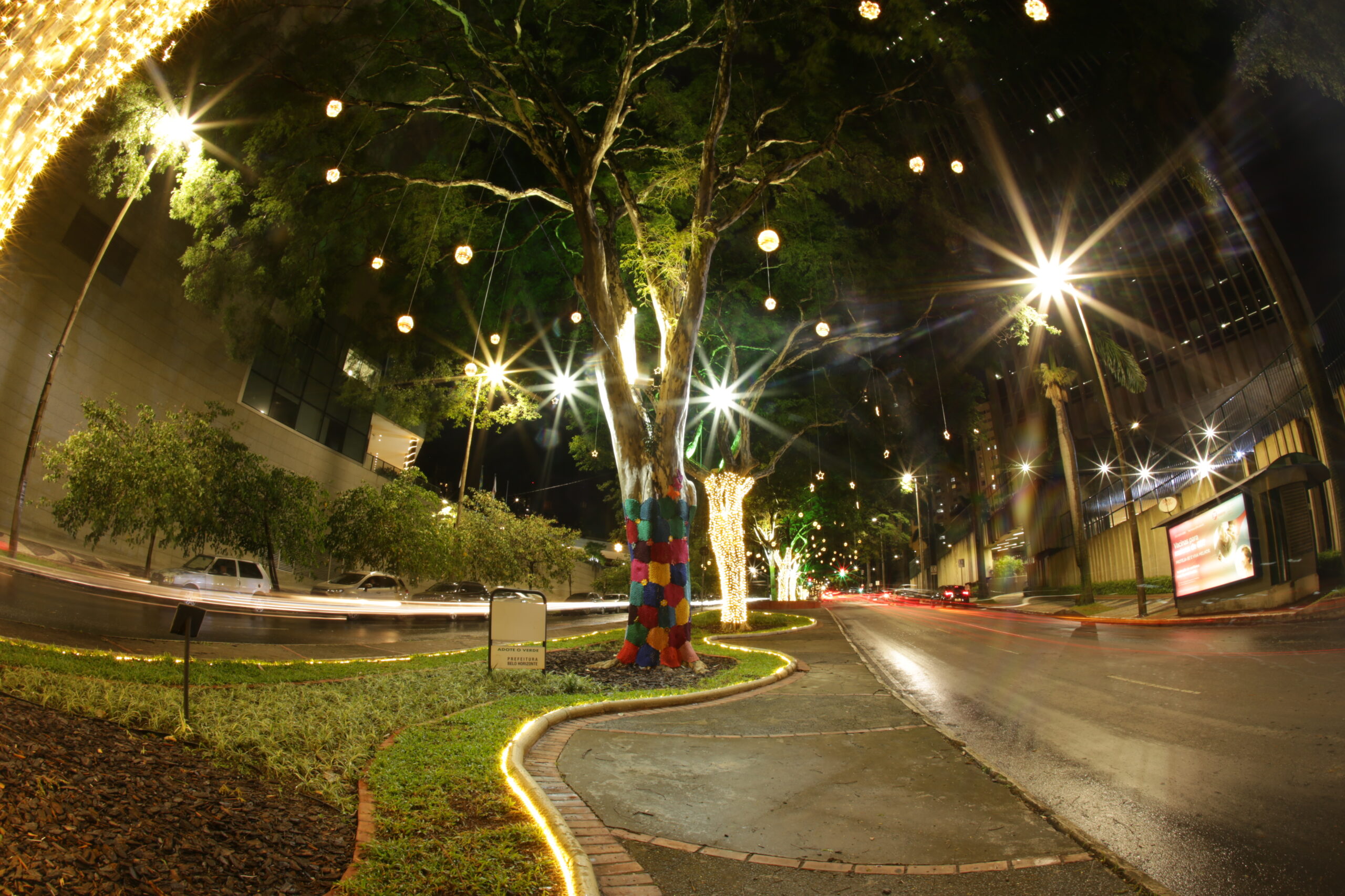 Confira as fotos do natal de luzes Cemig