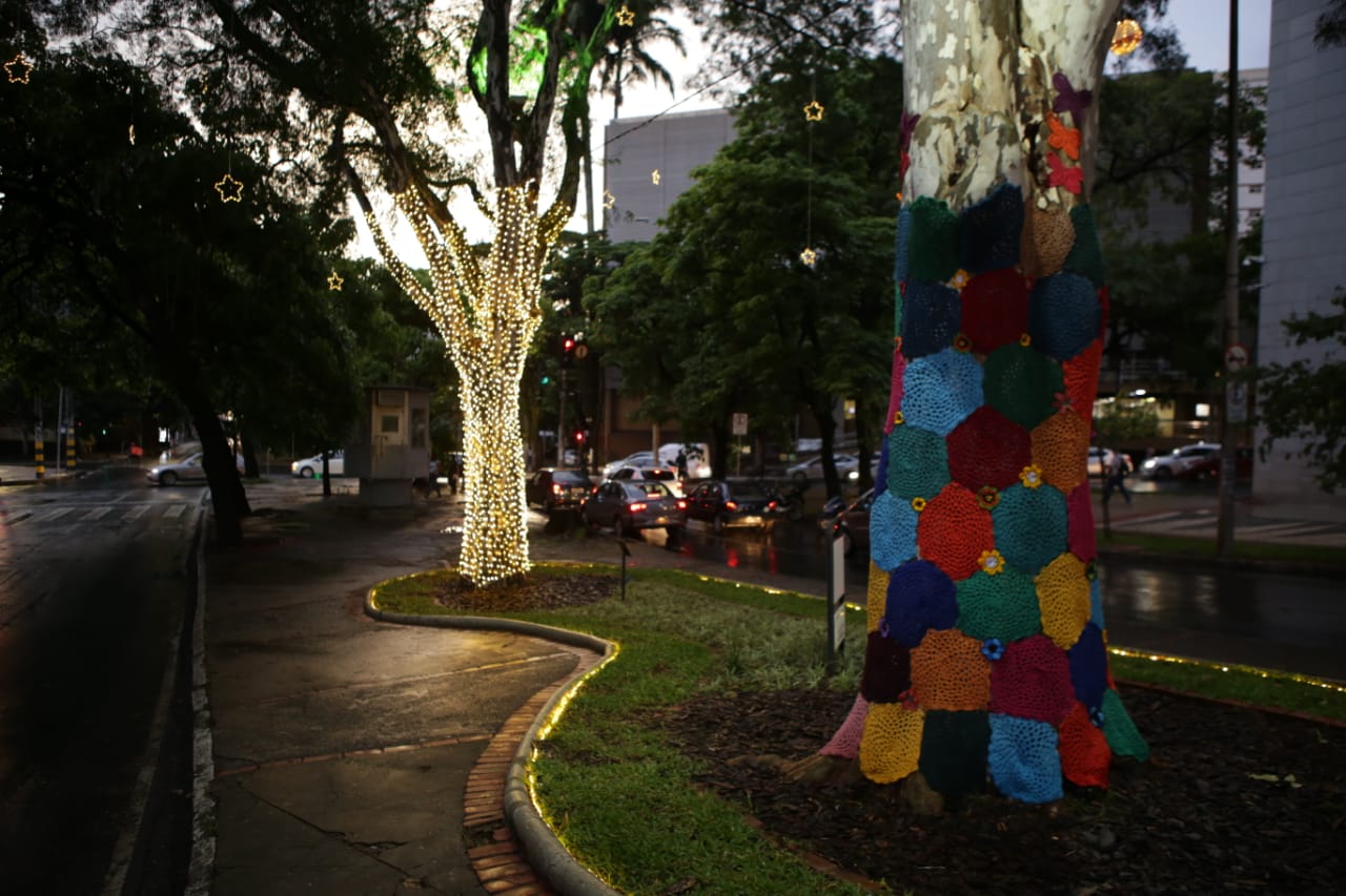 Confira as fotos do natal de luzes Cemig