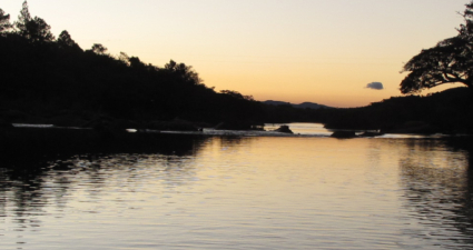 Cemig lança oitavo livro da série Peixe Vivo