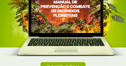 Cemig lança Manual de Prevenção e Combate de Incêndios Florestais