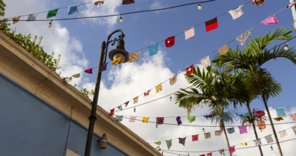 Cemig alerta: em caso de liberação pelas autoridades sanitárias, população precisa ter atenção em relação aos cuidados com a rede elétrica na organização de festas juninas