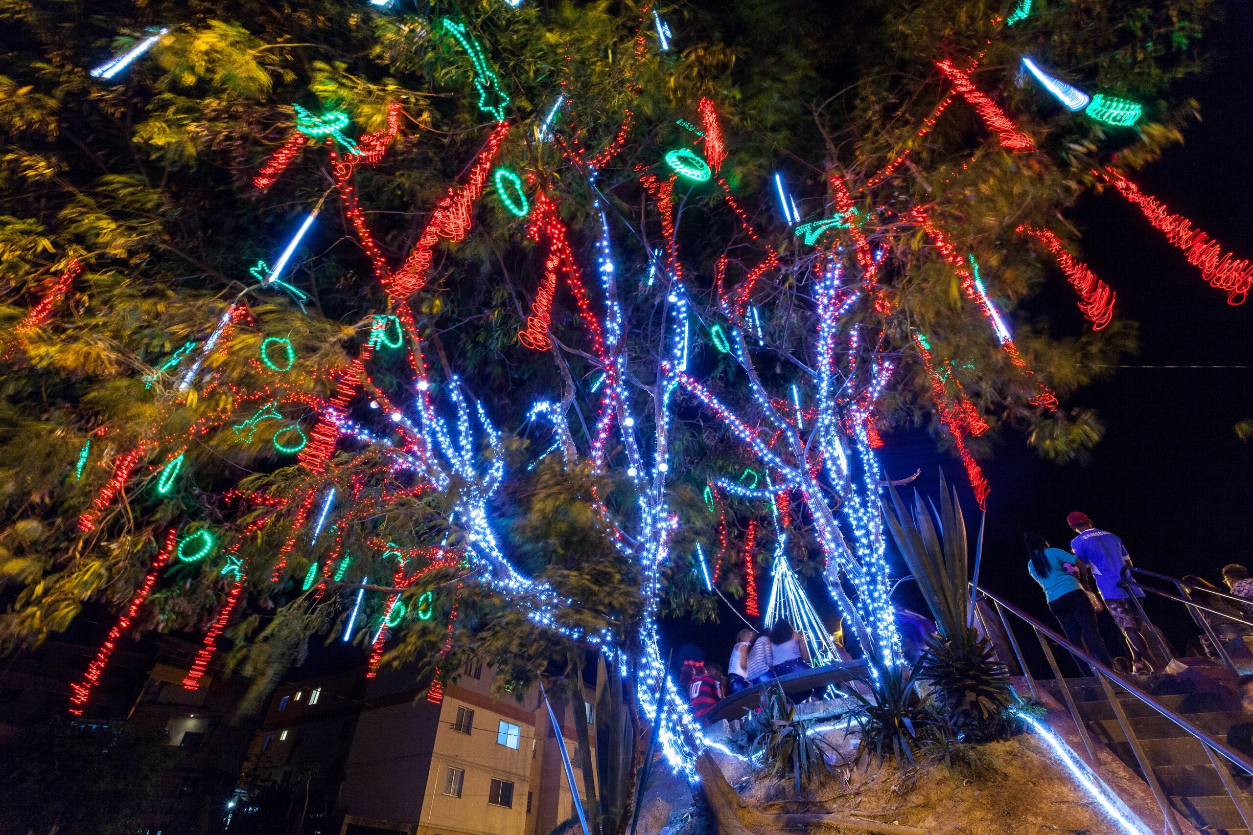 iluminacao-na-talina01-lucas-nishimoto