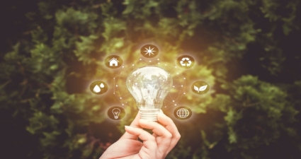 Cemig desenvolve projeto de P&D para avaliar e monitorar efetividade de ações ambientais