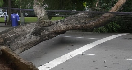 Fio da rede elétrica partido: Cemig pede máxima atenção para evitar acidentes