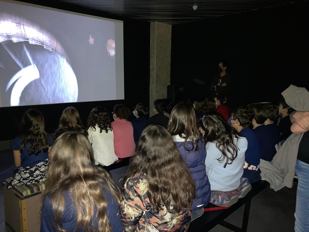 Galeria de Arte Cemig amplia período de visitação da exposição Giramundo 50 anos