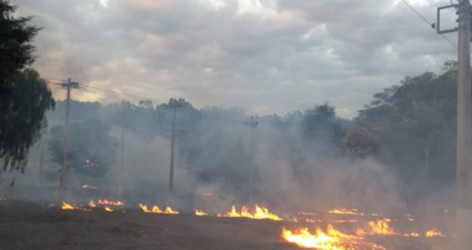 Desenvolvimento de um sistema de Prognóstico de queimadas em áreas susceptíveis ao longo das linhas de transmissão da CEMIG