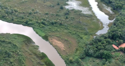 Aparato para complementação de modo de utilização de refletômetro óptico no domínio