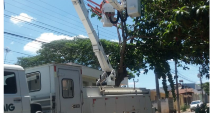 Queda de árvores é a principal causa de desligamentos acidentais em Minas Gerais