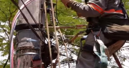 Inovação e sustentabilidade: Cemig adota cabo com isolamento composto por material de origem vegetal