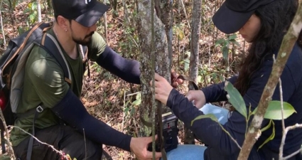 Parceria entre Cemig e UFLA realiza inventário de biodiversidade e pesquisas em reserva ambiental no Triângulo