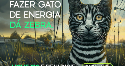 Campanha da Cemig contra ligações irregulares estimula adoção responsável de gatos