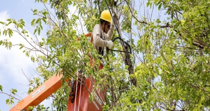 Cemig irá investir R$ 360 milhões em ações de manutenção preventiva em 2025