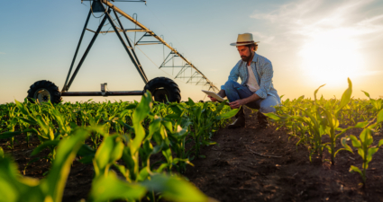 Confira as dicas de segurança com a rede elétrica na produção agrícola