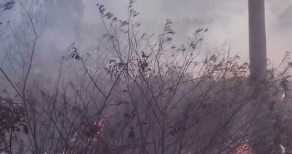 Cemig registra quase o dobro de ocorrências na rede elétrica causadas por queimadas em 2021