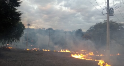 Cemig registra quase 2 mil alertas de incêndio próximos à rede elétrica no 1º semestre de 2025