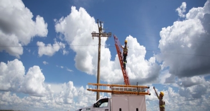 Cemig e órgãos públicos integram agendas de investimentos para o Agro