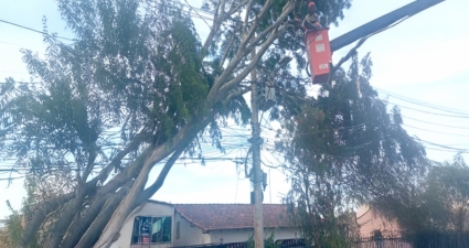 Cemig restabelece energia para dezenas de milhares de clientes em tempo recorde após tempestades em várias regiões do estado